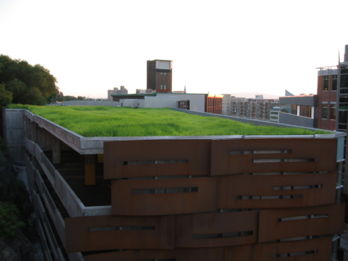 Le toit vert est une toiture utilisant de la terre et des végétaux en place de la tuile ou de l'ardoise. Le principe existe depuis des milliers d'années avec les tumulus (préhistoire) ou les abris souterrains (de vikings par ex.) Il offre de nombreux avantages tant environnementaux, sociaux, qu'économiques.