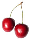 Cherry-34.jpg