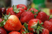 Bowl of Strawberries.jpg